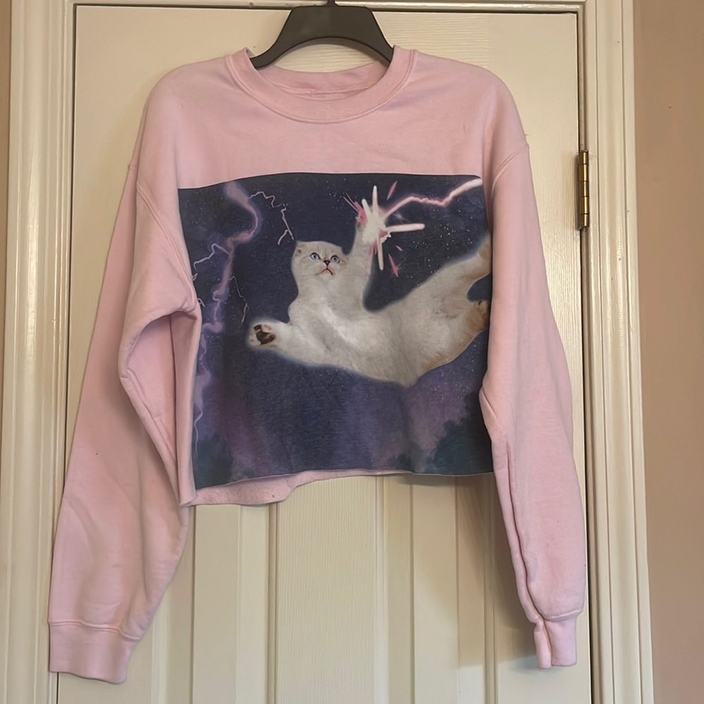 Taylor Swift Pink Cat Sweatshirt
